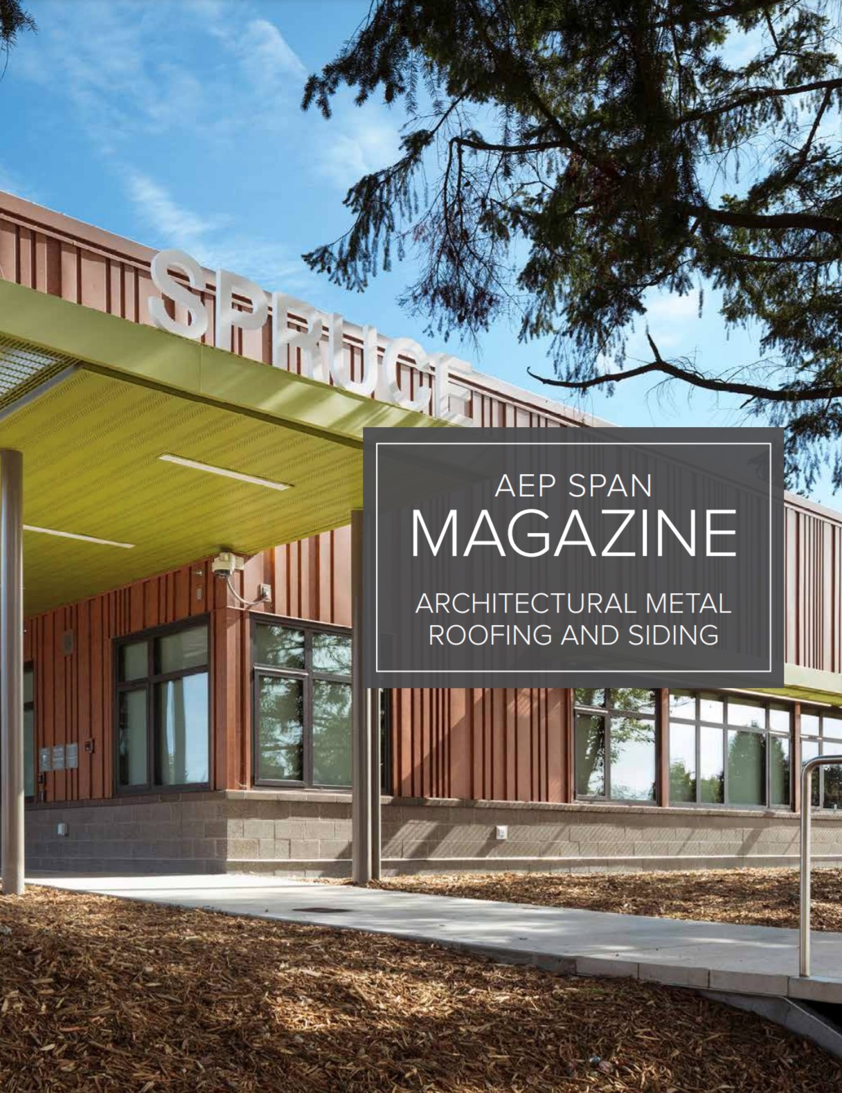 AEP Span Magazine for Metal Roofing and Siding