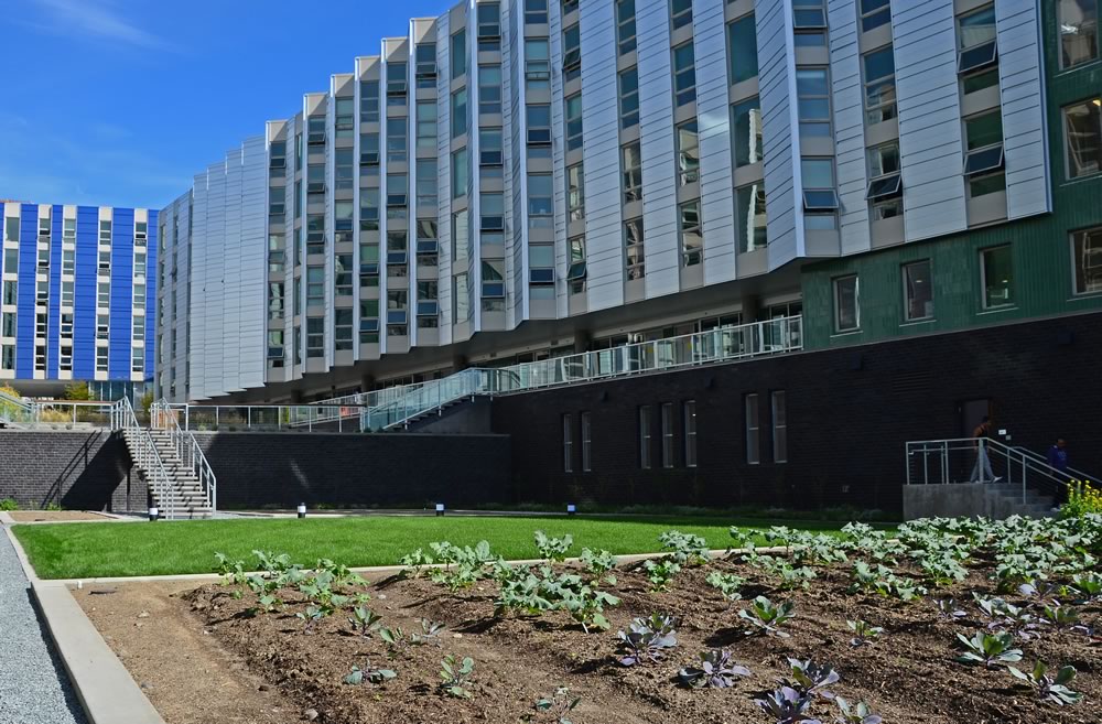 University of Washington - Mercer Hall